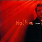 Identical Twin by Neil Finn