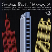 Chicago Blues Harmonica