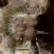 Tranquilizante Del Elefante