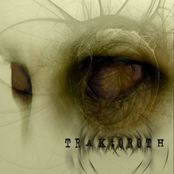 Fuck Off And Remix Kucko