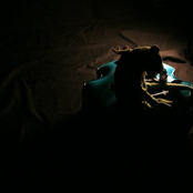 From A Lilly Pad On The Hill