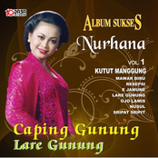 Sukses Nurhana, Vol. 1