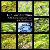Life Sounds Nature - Best Relaxing Meditation Music and Nature Sounds