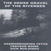 The Dense Gravel Of The Riverbed