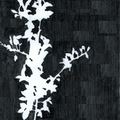 through a fogged glass (demo)