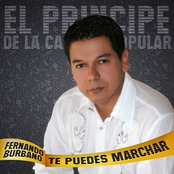 fernando burbano