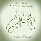 Never Said (A Platonic Love Song)