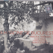 La margine de Bucureşti