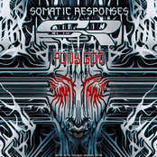 Hammer Drone by Somatic Responses