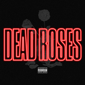 Dead Roses
