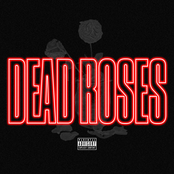 Derek King: Dead Roses