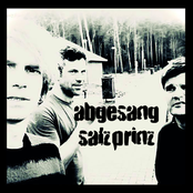 Abgesang / Salzprinz