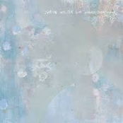 Bird Higher Than Cloud