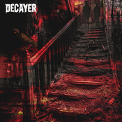 Decayer: Your Shadow