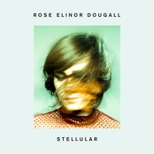 Strange Warnings by Rose Elinor Dougall