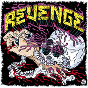 Revenge Album Picture