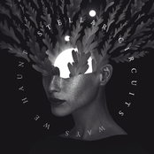 Stellar Circuits: Ways We Haunt