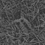 Old World Viper (Demo)