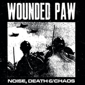 Noise, Death & Chaos
