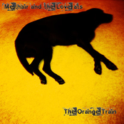 The Orange Train
