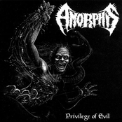 Pilgrimage From Darkness by Amorphis