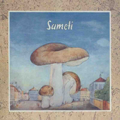 Sameti