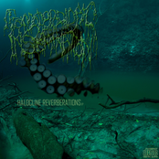 Halocline Reverberations