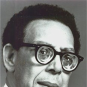 robert hayden