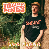 Lua Flora: Virginia Pines