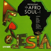 Afro-soultet