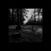 Cosmic Indifference / TAB IN/TAB OUT