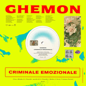 Criminale emozionale