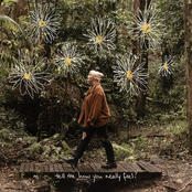 tell me how you really feel?