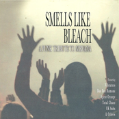 Smells Like Bleach - A Punk Tribute to Nirvana