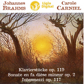 Johannes Brahms Klavierst?cke op 119, Sonate op 2, Intermezzi op 11