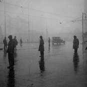 Demos de 1929