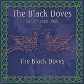 The Black Doves