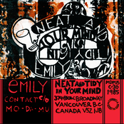 Neat and Tidy in Your Mind