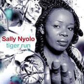 Tiger Run by Sally Nyolo