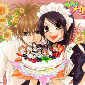 kaichou wa maid-sama