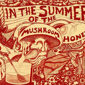 in the summer of the mushroom honey