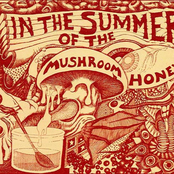 In The Summer Of The Mushroom Honey