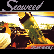 Free Drug Zone by Seaweed