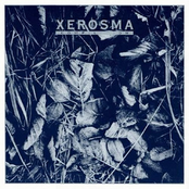 Xerosma
