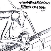 erica peterson's flaming crib death