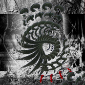 Serpents and Shallows