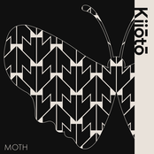 Moth