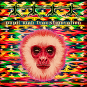 Transfiguration