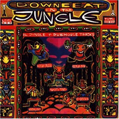 Downbeat in the Jungle
