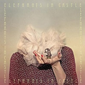 elephants in castle